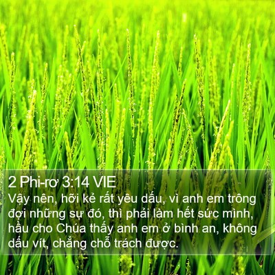 2 Phi-rơ 3:14 VIE Bible Verse Image
