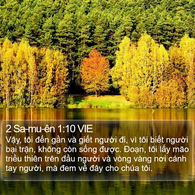 2 Sa-mu-ên 1:10 VIE Bible Verse Image