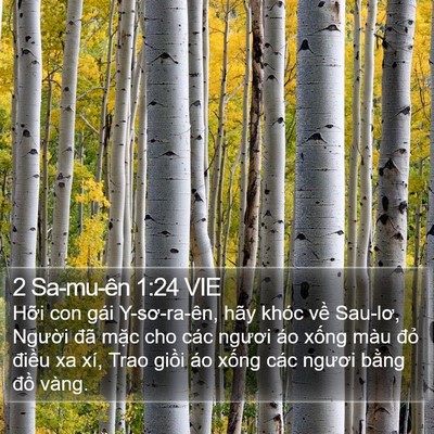 2 Sa-mu-ên 1:24 VIE Bible Verse Image