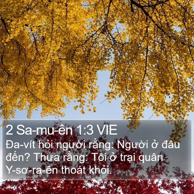 2 Sa-mu-ên 1:3 VIE Bible Verse Image