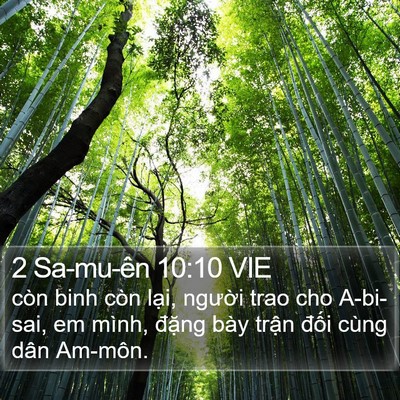 2 Sa-mu-ên 10:10 VIE Bible Verse Image