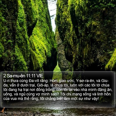 2 Sa-mu-ên 11:11 VIE Bible Verse Image