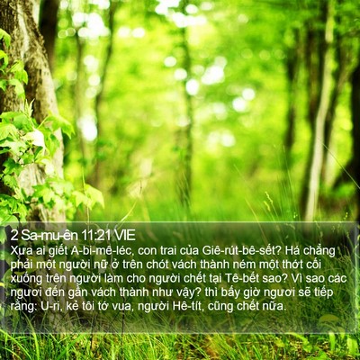 2 Sa-mu-ên 11:21 VIE Bible Verse Image