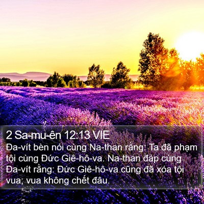 2 Sa-mu-ên 12:13 VIE Bible Verse Image