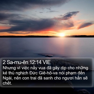 2 Sa-mu-ên 12:14 VIE Bible Verse Image