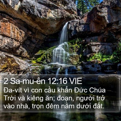 2 Sa-mu-ên 12:16 VIE Bible Verse Image