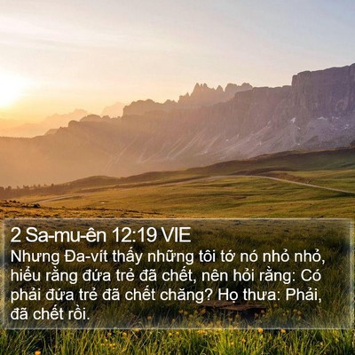 2 Sa-mu-ên 12:19 VIE Bible Verse Image