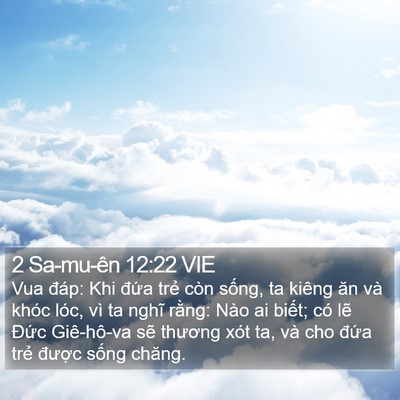 2 Sa-mu-ên 12:22 VIE Bible Verse Image
