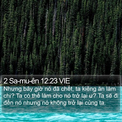 2 Sa-mu-ên 12:23 VIE Bible Verse Image