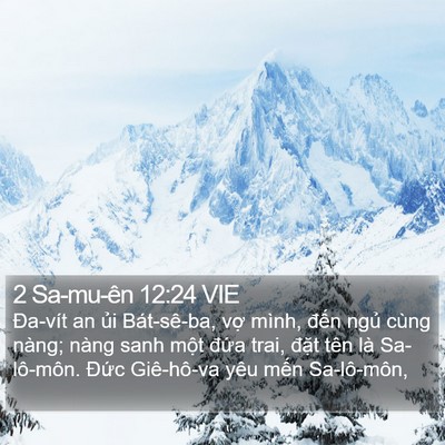 2 Sa-mu-ên 12:24 VIE Bible Verse Image