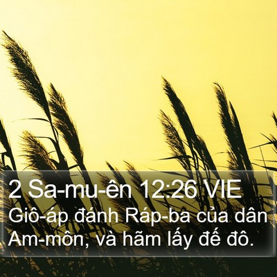 2 Sa-mu-ên 12:26 VIE Bible Verse Image