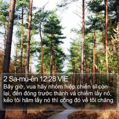 2 Sa-mu-ên 12:28 VIE Bible Verse Image