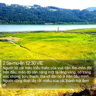2 Sa-mu-ên 12:30 VIE Bible Verse Image