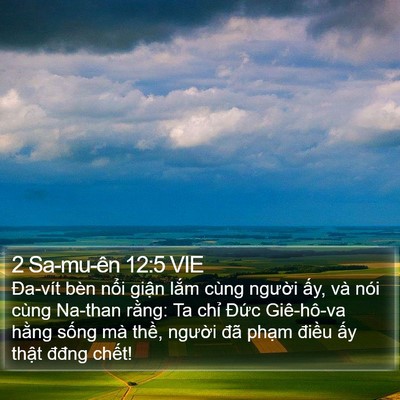 2 Sa-mu-ên 12:5 VIE Bible Verse Image