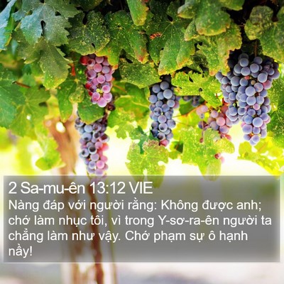 2 Sa-mu-ên 13:12 VIE Bible Verse Image