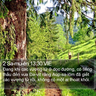 2 Sa-mu-ên 13:30 VIE Bible Verse Image
