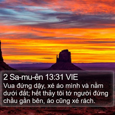 2 Sa-mu-ên 13:31 VIE Bible Verse Image