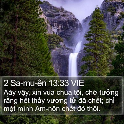 2 Sa-mu-ên 13:33 VIE Bible Verse Image