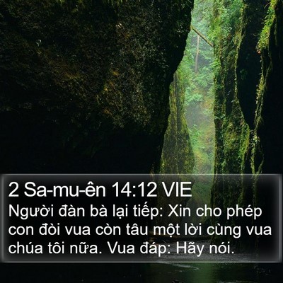 2 Sa-mu-ên 14:12 VIE Bible Verse Image