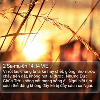 2 Sa-mu-ên 14:14 VIE Bible Verse Image