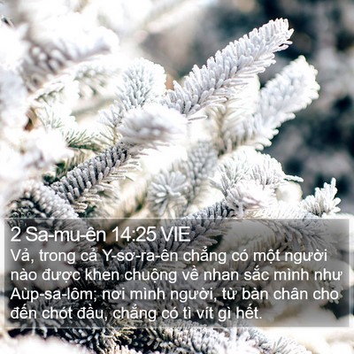 2 Sa-mu-ên 14:25 VIE Bible Verse Image