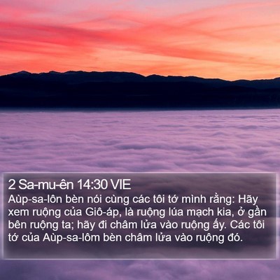 2 Sa-mu-ên 14:30 VIE Bible Verse Image
