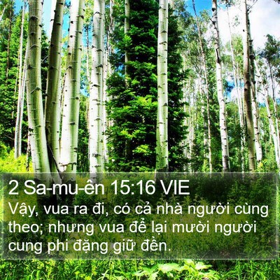 2 Sa-mu-ên 15:16 VIE Bible Verse Image