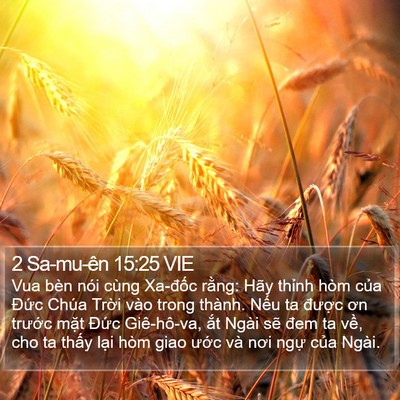 2 Sa-mu-ên 15:25 VIE Bible Verse Image