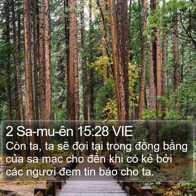 2 Sa-mu-ên 15:28 VIE Bible Verse Image