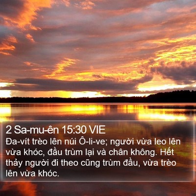 2 Sa-mu-ên 15:30 VIE Bible Verse Image