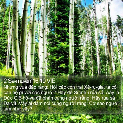 2 Sa-mu-ên 16:10 VIE Bible Verse Image