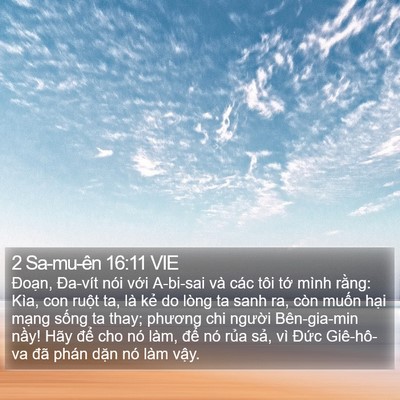 2 Sa-mu-ên 16:11 VIE Bible Verse Image