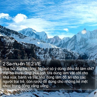 2 Sa-mu-ên 16:2 VIE Bible Verse Image