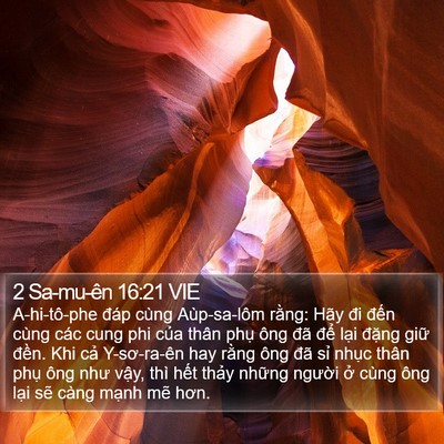 2 Sa-mu-ên 16:21 VIE Bible Verse Image