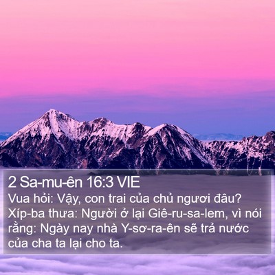 2 Sa-mu-ên 16:3 VIE Bible Verse Image