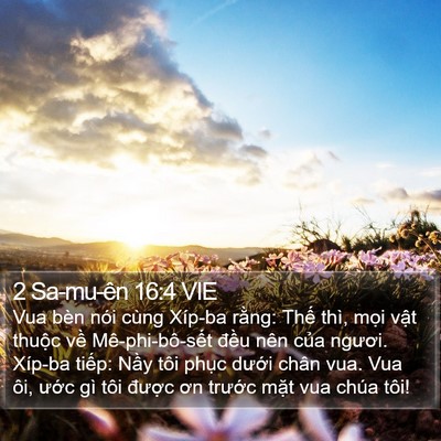 2 Sa-mu-ên 16:4 VIE Bible Verse Image