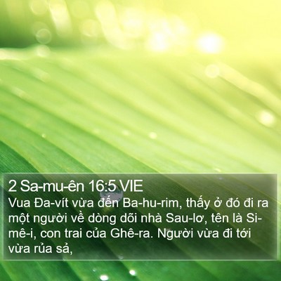 2 Sa-mu-ên 16:5 VIE Bible Verse Image