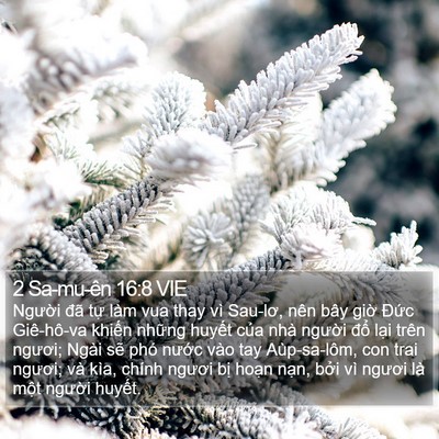 2 Sa-mu-ên 16:8 VIE Bible Verse Image