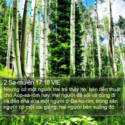 2 Sa-mu-ên 17:18 VIE Bible Verse Image