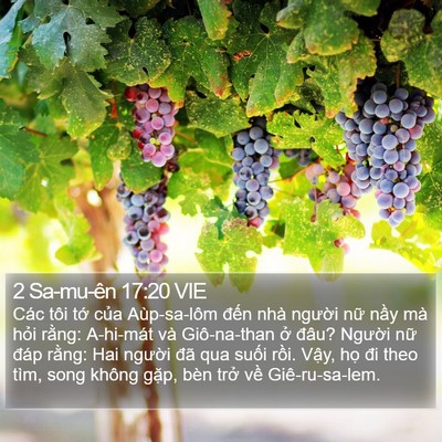 2 Sa-mu-ên 17:20 VIE Bible Verse Image