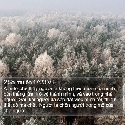 2 Sa-mu-ên 17:23 VIE Bible Verse Image