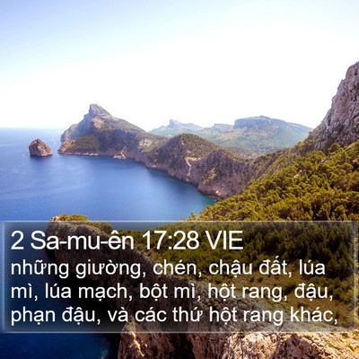 2 Sa-mu-ên 17:28 VIE Bible Verse Image