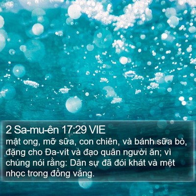2 Sa-mu-ên 17:29 VIE Bible Verse Image
