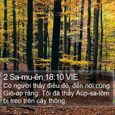 2 Sa-mu-ên 18:10 VIE Bible Verse Image