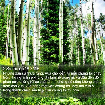 2 Sa-mu-ên 18:3 VIE Bible Verse Image