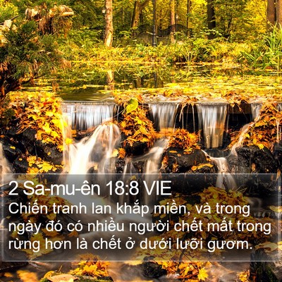 2 Sa-mu-ên 18:8 VIE Bible Verse Image