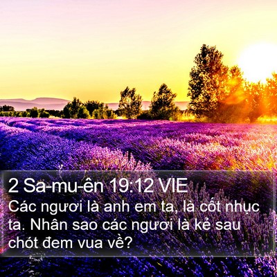 2 Sa-mu-ên 19:12 VIE Bible Verse Image