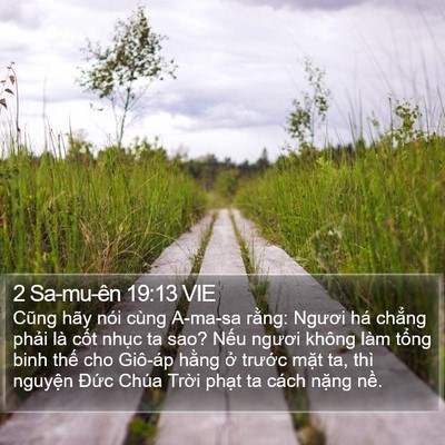 2 Sa-mu-ên 19:13 VIE Bible Verse Image