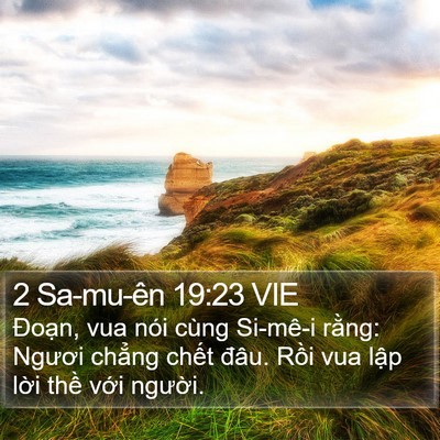 2 Sa-mu-ên 19:23 VIE Bible Verse Image