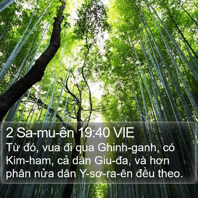 2 Sa-mu-ên 19:40 VIE Bible Verse Image